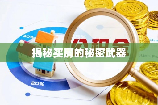长白揭秘买房的秘密武器