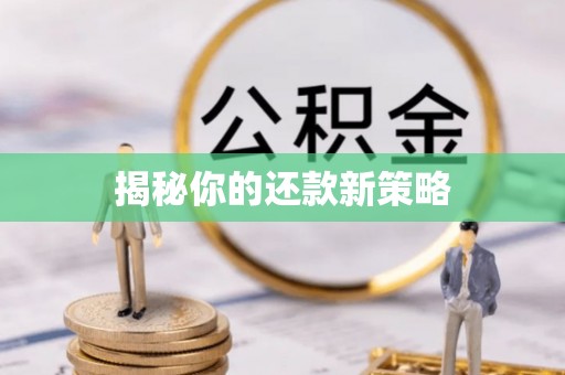 长白揭秘你的还款新策略