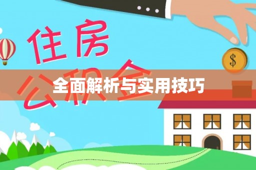 长白全面解析与实用技巧