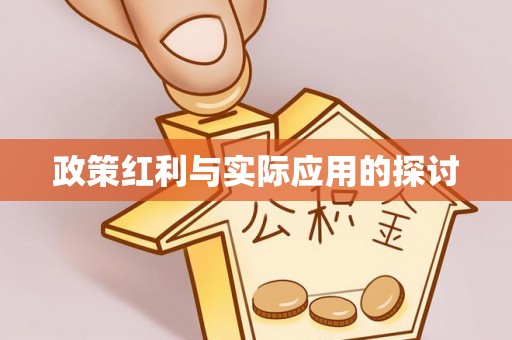 长白政策红利与实际应用的探讨