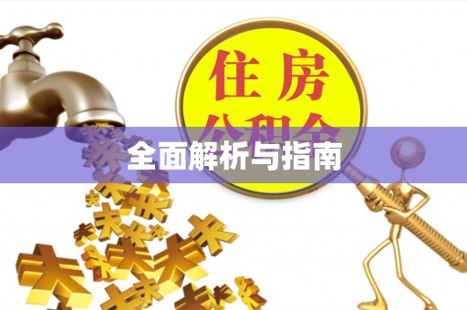 长白全面解析与指南