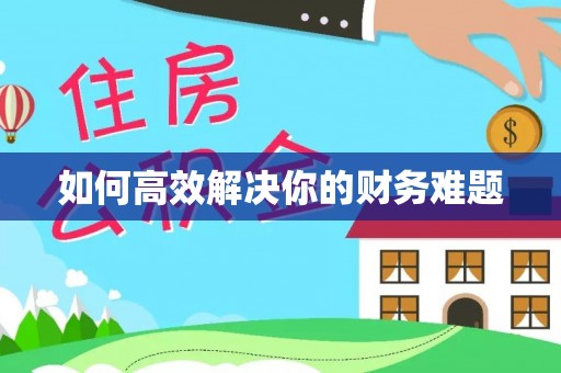 长白如何高效解决你的财务难题