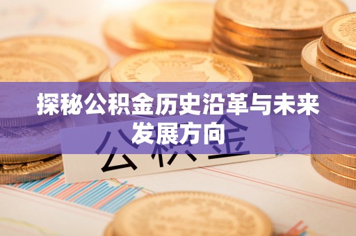 长白探秘公积金历史沿革与未来发展方向