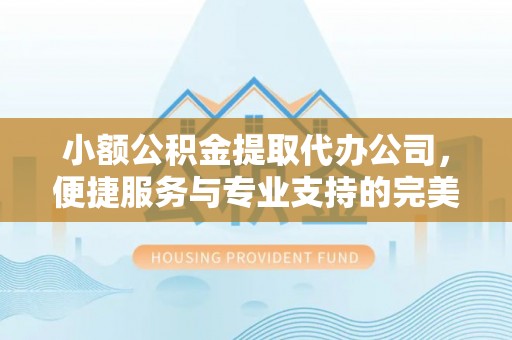 长白小额公积金提取代办公司，便捷服务与专业支持的完美结合