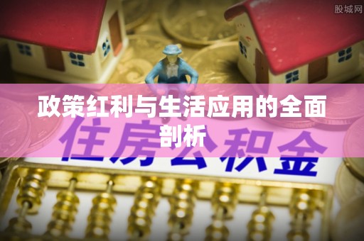 长白政策红利与生活应用的全面剖析
