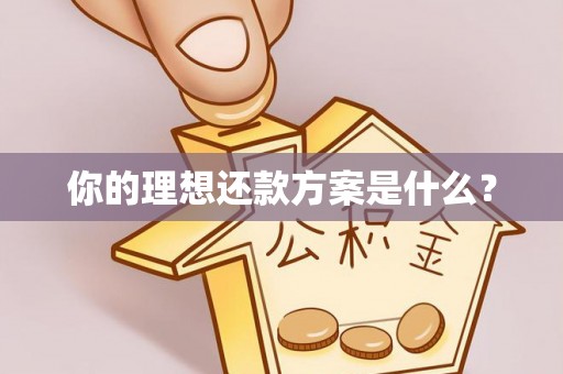 长白你的理想还款方案是什么？