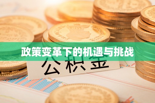 长白政策变革下的机遇与挑战