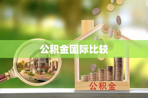 长白公积金国际比较