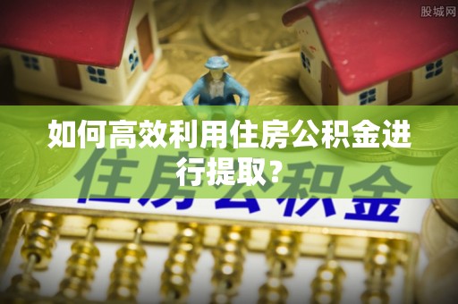 长白如何高效利用住房公积金进行提取？
