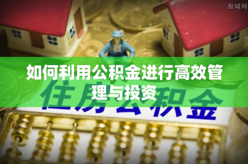 长白如何利用公积金进行高效管理与投资