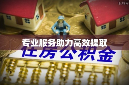 长白专业服务助力高效提取