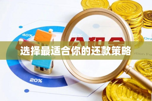 长白选择最适合你的还款策略